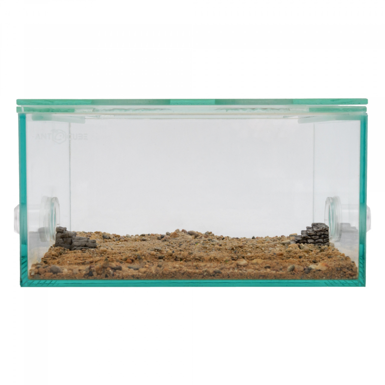 Arena stone steps set 2 pcs.